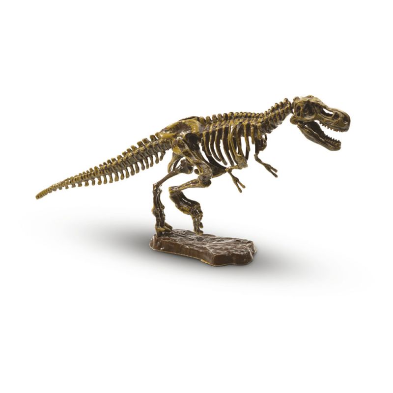 Pâte à modeler – Squelettes de dinosaures en bois – SES Creative